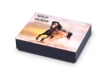 wild_horse_box_01.jpg